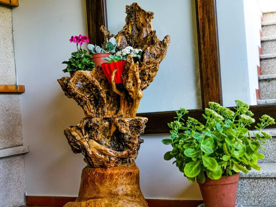 منزل الضيف Vila Seca   في Casa Carolina المظهر الخارجي الصورة